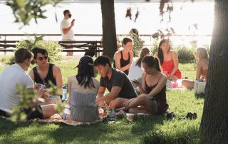 Grupo a confraternizar num jardim