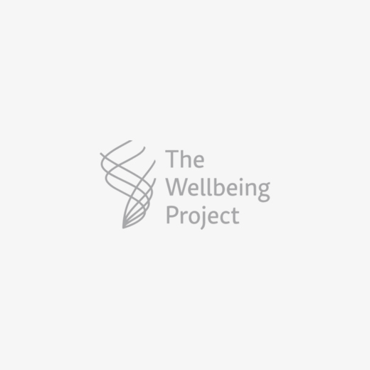 logo the wellbeing project