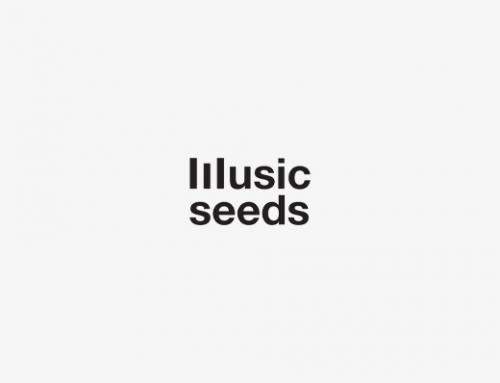 Music Seeds