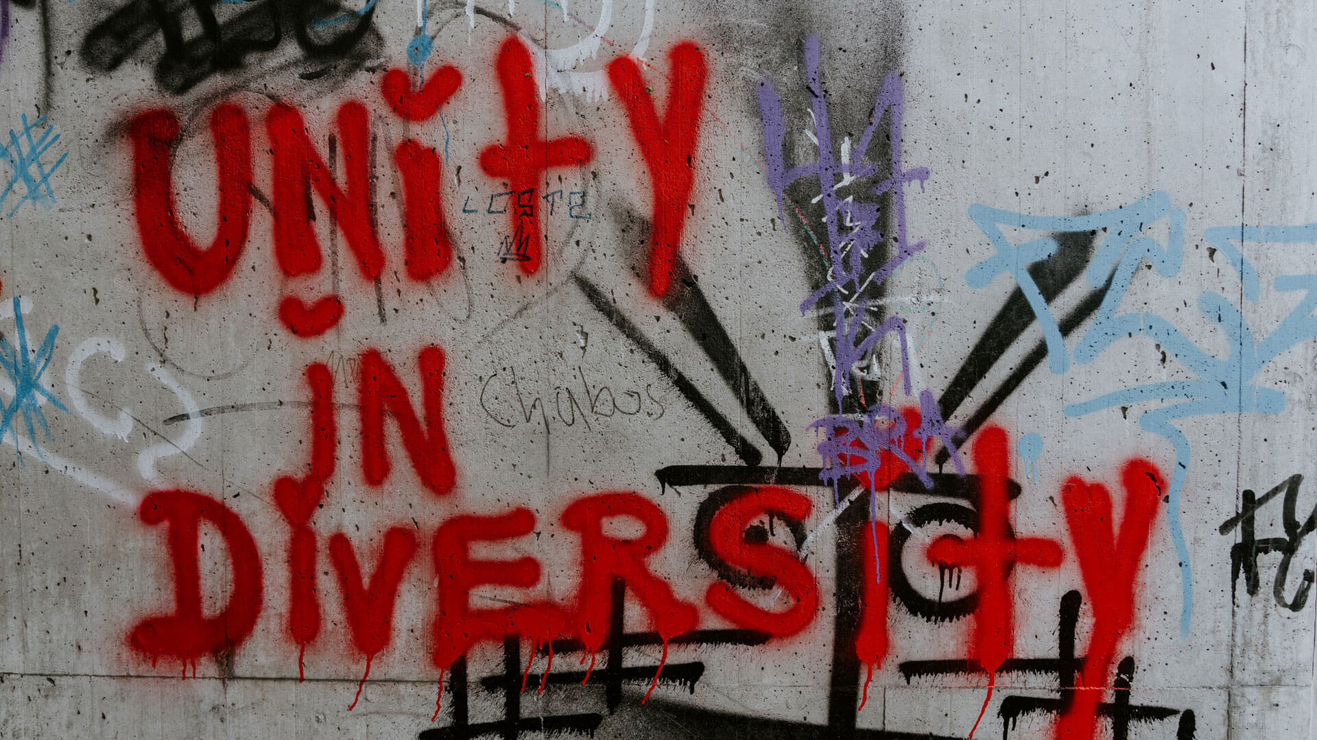 Graffiti na parede com a frase "Unity in diversity"