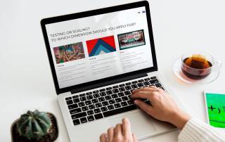 senhora a utilizar computador