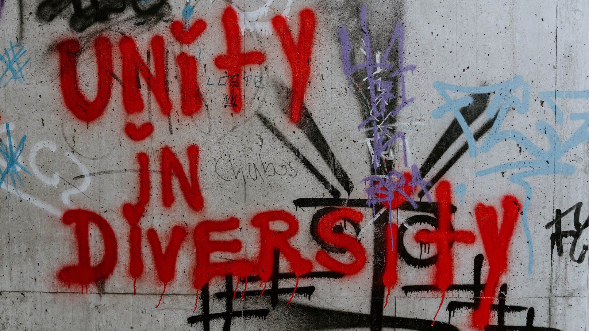 grafiti com as palavras Unity in diversity 