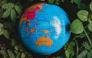 globo terrestre no meio de vegetação