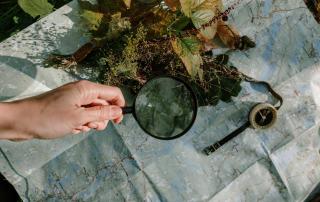 Pessoa com lupa examina bocado de terra