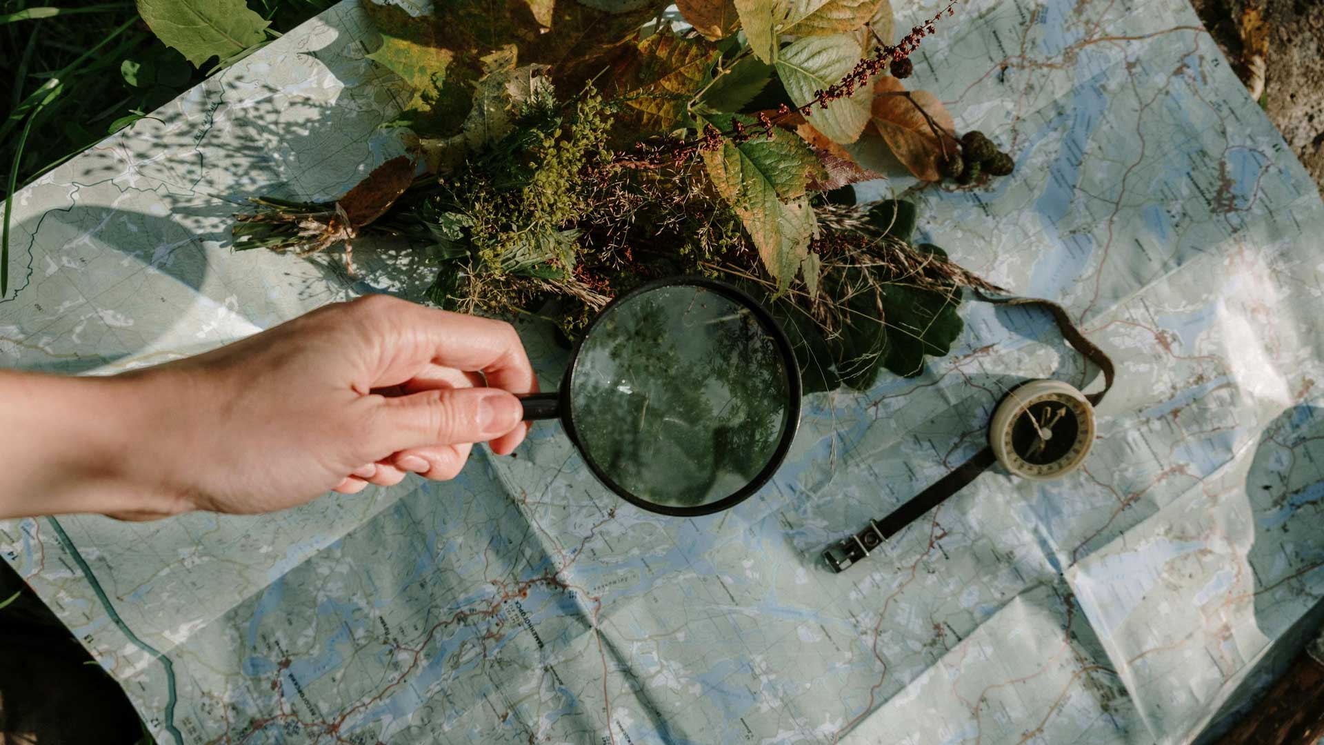 pexels-cottonbro-6033794 Pessoa com lupa examina bocado de terra