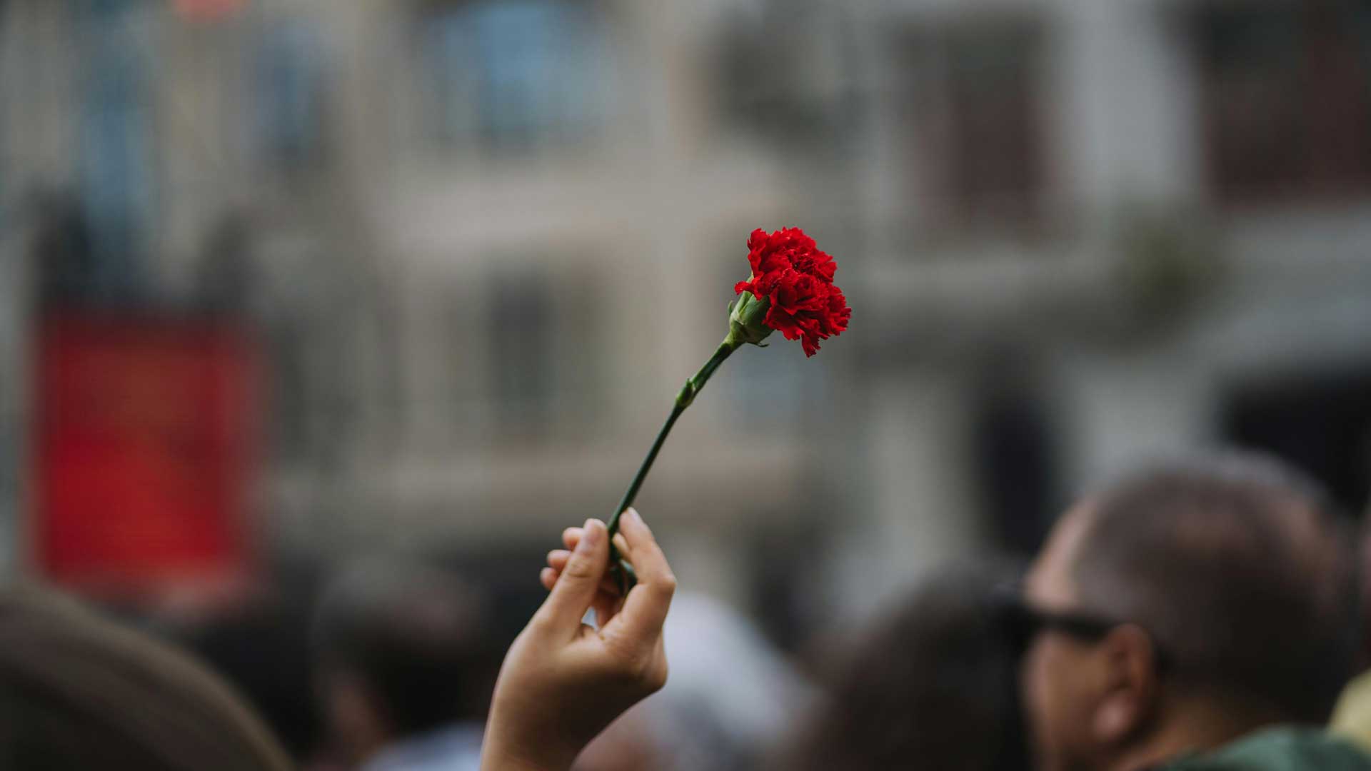 Mão a segurar cravo